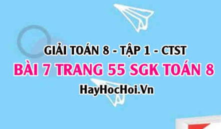 Giải bài 7 trang 55 Toán 8 Tập 1 SGK Chân trời sáng tạo